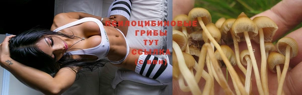 первитин Михайловск