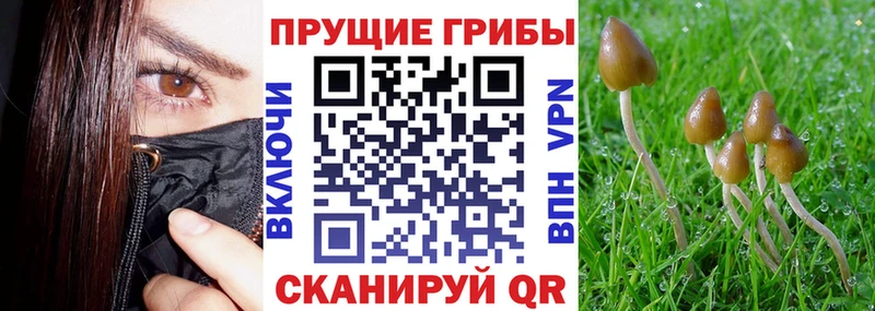 Галлюциногенные грибы GOLDEN TEACHER Нижний Новгород