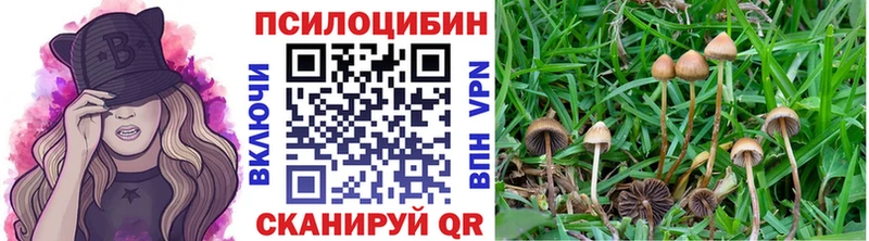 Псилоцибиновые грибы прущие грибы  Купить  Нижний Новгород 